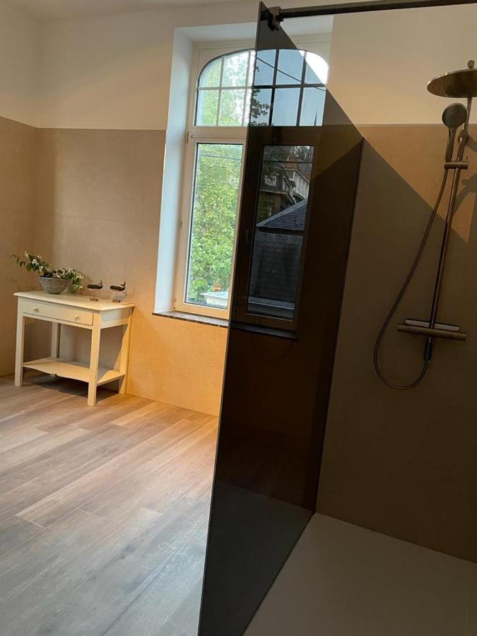 Les Terrasses De Sax Bed and Breakfast Ντινάντ Εξωτερικό φωτογραφία